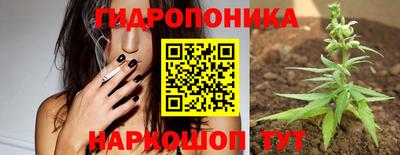 Альфа ПВП Ликино-Дулёво