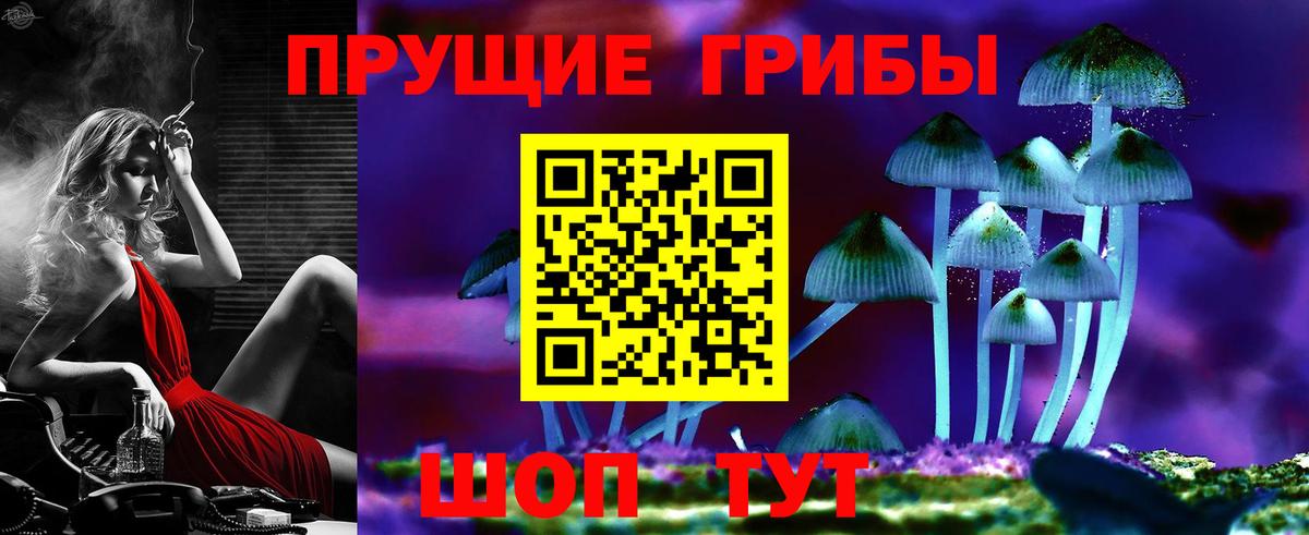 Галлюциногенные грибы прущие грибы  Галлюциногенные грибы ЛСД  Шебекино  Вход с VPN 